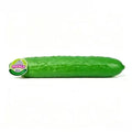 Sour Cucumber Stress ReliefRealistic Prop Model Squishy Toy Sour Cucumber Stress Relief Squishy Realistic Prop Model Squishy Toy